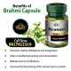 Brahmi Capsule reduces inflammation, boosts brain function & has anticancer properties 