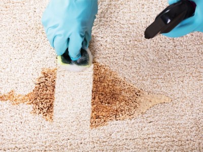 Premium Carpet Cleaning Service in Dubai