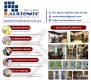 Top Home Maintenance Services in Dubai Marina 0563787002