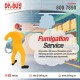 fumigation Services in abu dhabi