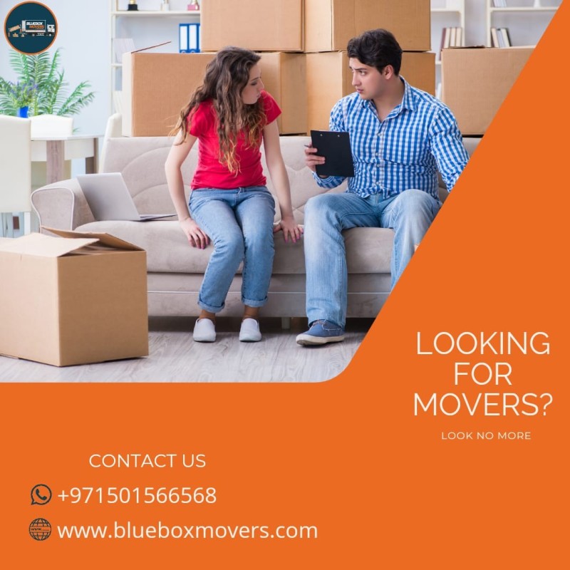 0501566568 BlueBox Movers and Packers in Dubai Villa,Flat,Office move with Close Truck 