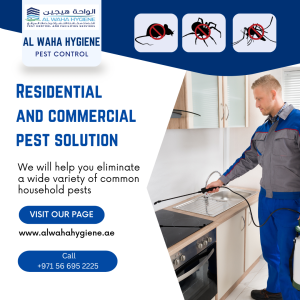 Pest Control Mussafah - Keeping your place safe from pests!
