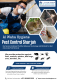 Pest Control in Sharjah - Effective Pest Solutions