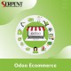 Odoo ecommerce software | ERP ecommerce app development- SerpentCS