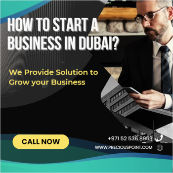 Special offer for Project management service License in Dubai