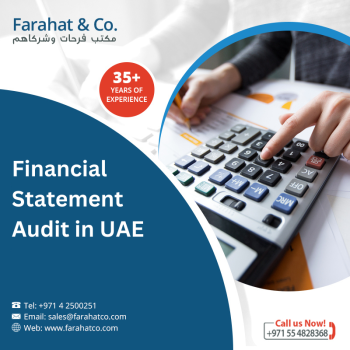 Financial Statement Audit Report in UAE