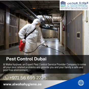 Get the best pest control service in Dubai with our experts!
