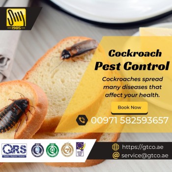 Cockroach Control Service That You Can Trust in Abu Dhabi