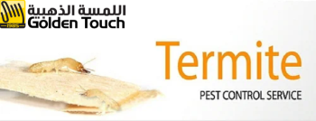 Get Rid of Termite Infestation Fast With Our Professional Service