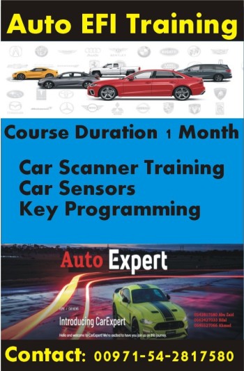 Auto EFI Training