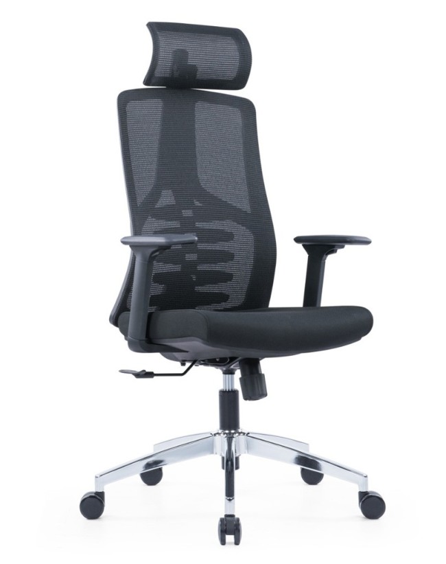 Ridge Executive Chair | New Model and Featuring Designs 