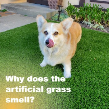 Artificial grass astro truf Cleaning Dubai 