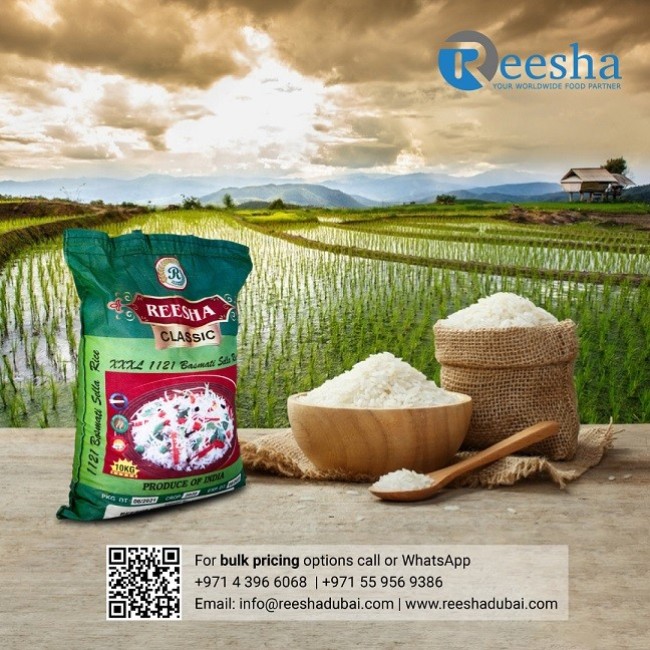 Affordable Wholesale Indian Rice from Reesha Trading in UAE