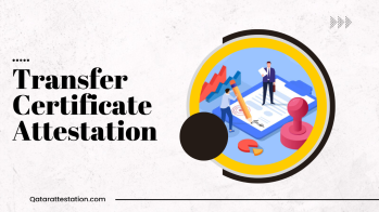 Transfer Certificate attestation in Qatar