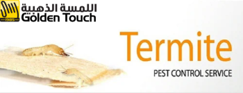 Get Rid of Termite Infestations Fast with Our Expertise