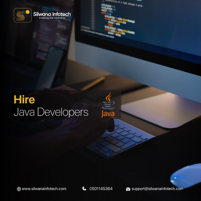 Silwana Infotech - Hire Java Developer in Dubai