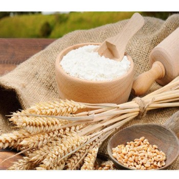 High-Quality Wheat Flour Wholesale Supplier in UAE - Reesha Trading