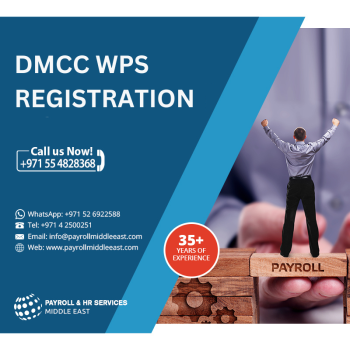 WPS Payroll Services in DMCC | Pay your Employees Fast 