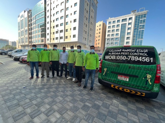 Pest Control Services in Abu Dhabi 
