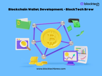 Hire Feature-Rich Blockchain Wallet Development - BlockTech Brew