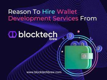 Reason To Hire Wallet Development Services From BlockTech Brew