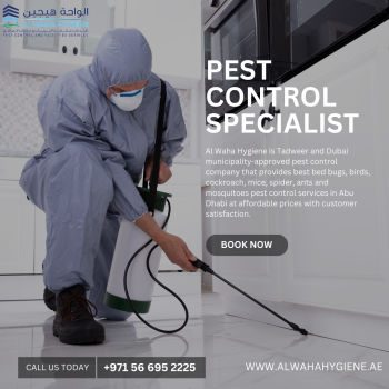 Keeping Dubai Pest-Free: A Guide to Pest Control Services in Dubai