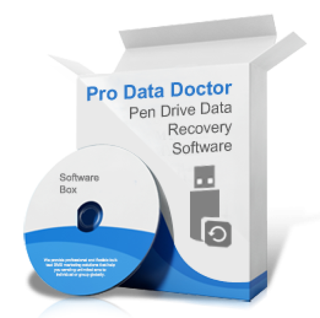Pen Drive Data Recovery Any type of file?