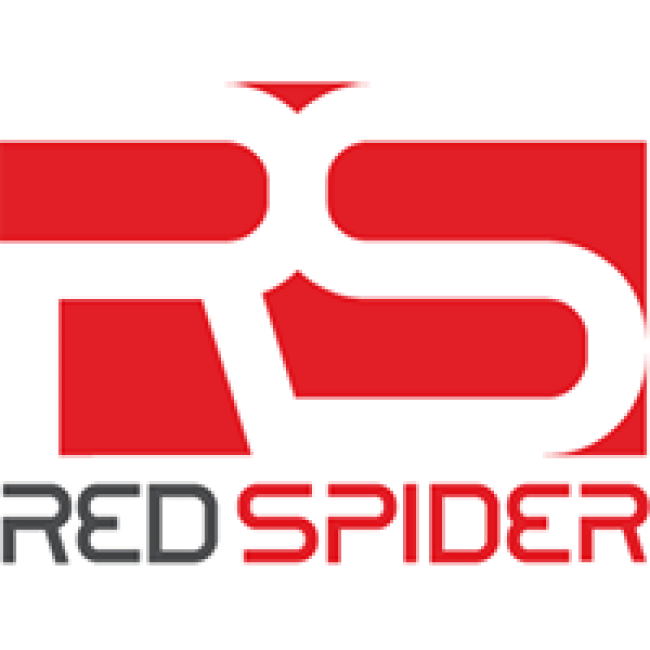 RedSpider Web & Art Design | Web Design Dubai