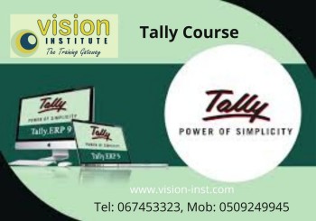 Tally  Training At Vision Instituite Ajman  call 0509249945