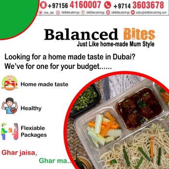 Deli Bite Catering Dubai: Home-Style Tiffin Meal Plans, Just Like Mum's!