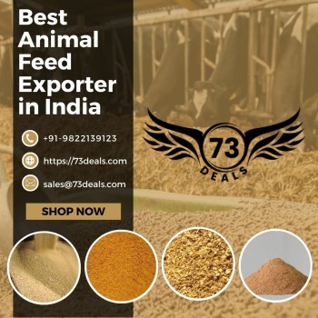 Sustainable Agriculture with 73 Deals - Your Partner as an Animal Feed Exporter Company in India
