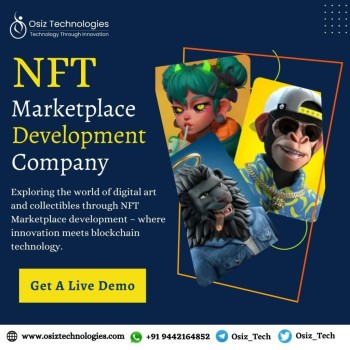 Discover the Future with Our NFT Marketplace Development Company!