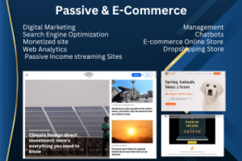 Website Buiilding E-Commerce and Income stream