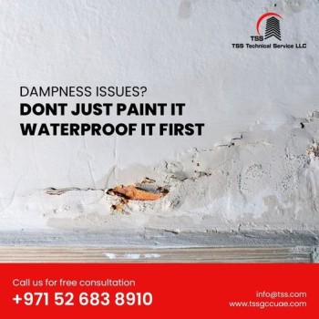 Best Waterproofing Company In Dubai