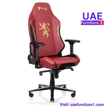 Quality Gaming Chairs in Dubai at Affordable Prices