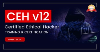 Ethical Hacker Online Exam Training