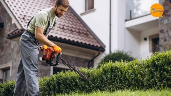 Best Landscaping Services in Ottawa