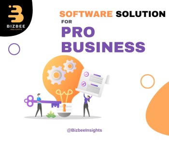 Best Pro Software Solutions