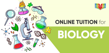 Life Lessons Unleashed: The Joyful Journey of Online Biology Learning