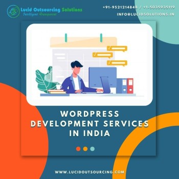 Custom WordPress Development Services In India | Lucid Outsourcing Solutions