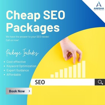 cheap-seo-packages (2)