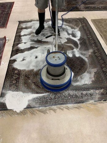 Sofa Carpet Cleaning Mattress Shampoo
