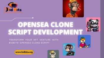 BIDBITS Opensea Clone Script | Create NFT Marketplace Like Opensea