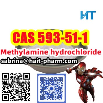 Methylamine hydrochloride cas 593-81-1 +whatsapp 8613363711581 (38)