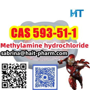 Methylamine hydrochloride cas 593-81-1 +whatsapp 8613363711581 (39)