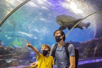 Dubai mall aquarium and underwater zoo ticket
