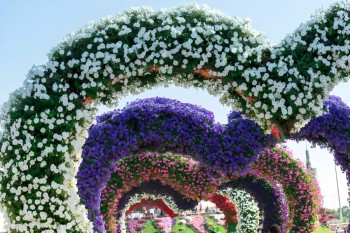 Dubai Miracle Garden tickets