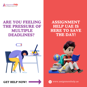 Get the professional assignment help in the UAE