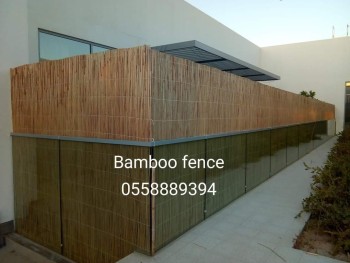 Bamboo Fence