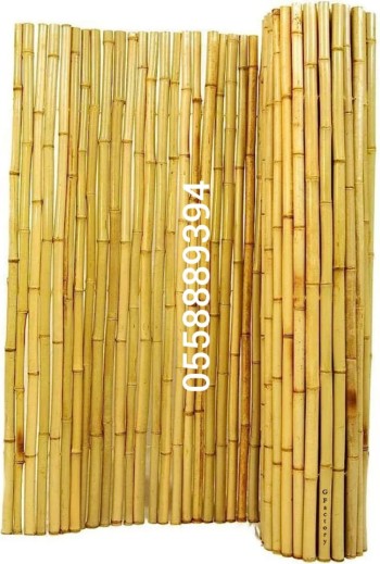 Thicker bamboo 4